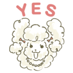 おしゃれプードルバニラ 2