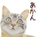 関西弁リアル猫2