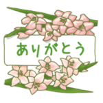 きれいなお花で伝える日常会話