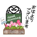 おしゃれ可愛いガーデニングで大人のトーク