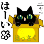 黒猫ちゃん8・ニャーニャー動くスタンプ。