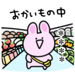 ミニうさぎ☆カスタム