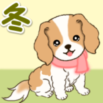 ちびキャバリアの冬
