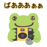 かえるのピクルス・カメラ