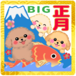 かわいいトイプードル♥お正月