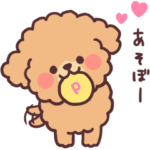 ふわふわもこもこトイプードル