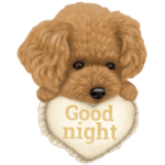 トイプードル（家族編＆小悪魔編）