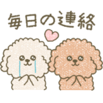 毎日♡トイプードル
