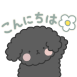 トイプードルなのです。