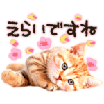 猫写真スタンプ9