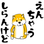 真・激しく尻尾をふる柴犬 4