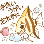 まいにち熱帯魚