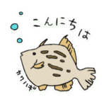 丁寧で可愛い海の幸