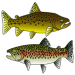 お魚スタンプ★ニジマスのにこちゃん