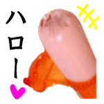 魚肉ソーセージ