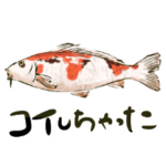 実践おさかな会話