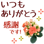 くっきり見やすい＊花の優しさと近況連絡