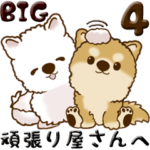 ちゃちゃ丸＆ちろちゃん 4