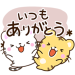 ちびトラ×ホワイトタイガー