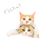 猫の日うちの子自慢スタンプ2021