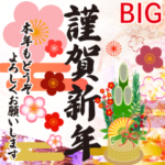 大人のBIG年賀状