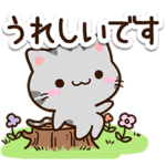 小さいアメショ