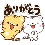 ちびトラ×ホワイトタイガー