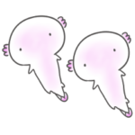 シンプル ウーパールーパー 日常会話