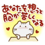 気持ちを伝えるアメショるぅさん