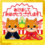 柴犬「ムサシ」３３　年末年始３