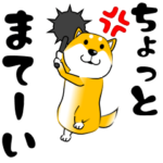 真・激しく尻尾をふる柴犬 3