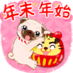 柴犬・プードル♡わんちゃん達の年末年始