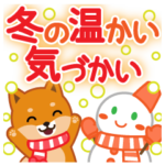 柴犬「ムサシ」３５　冬の温かい気づかい