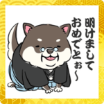 あけおめ柴犬のシバ田さん夫婦