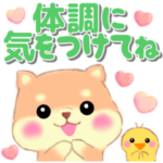 ベイビーしばぽよ