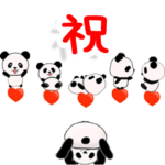 ▷ラブラブパンダ♥お祝い♥日常語