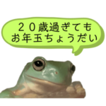 イエアメガエル 成人式編