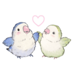 コザクラインコのあおちゃんとあもちゃん