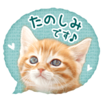 敬語でふきだしニャン