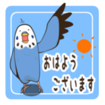 文字入り!インコのブンさん