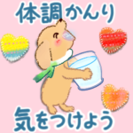 画面にとびだす♡ダックスちゃん