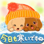 冬のほっこり♡ダックスちゃん