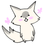 タヌキみたいなネコのぽんちゃん