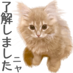 マンチカン猫のもんちゃん写真スタンプ