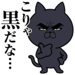 目ヂカラ★にゃんこ