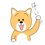 柴犬コロコロ日記