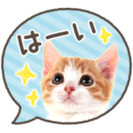 ふきだしニャン