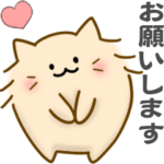 マンチカン猫のもんちゃん