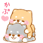 ▶動く❤️大切な人と使う❤️いやしばいぬ