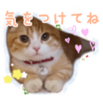 たれ耳ねこちゃん あいさつ編